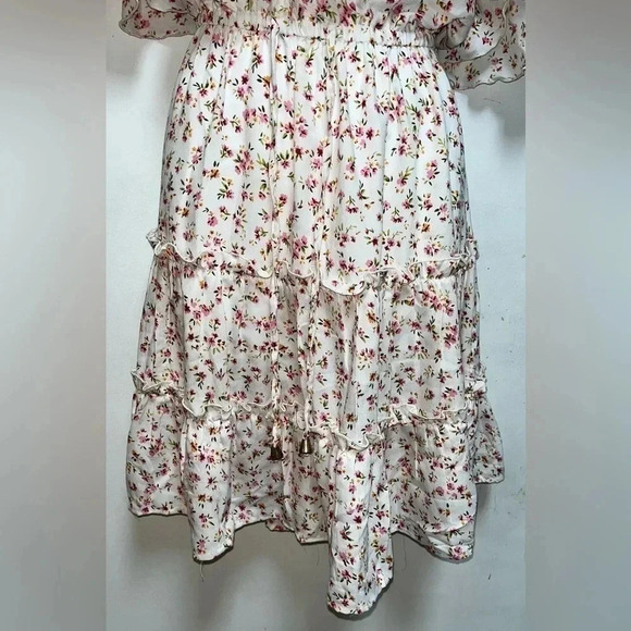 Hint of Blush Roses and Ruffles Dress Size 1X - Picture 3 of 5